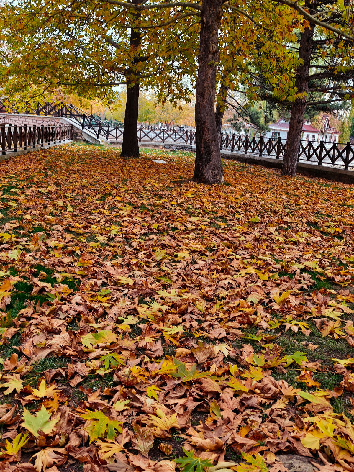 Konya’nın cennet köşesi sonbahar renkleriyle büyülüyor 23